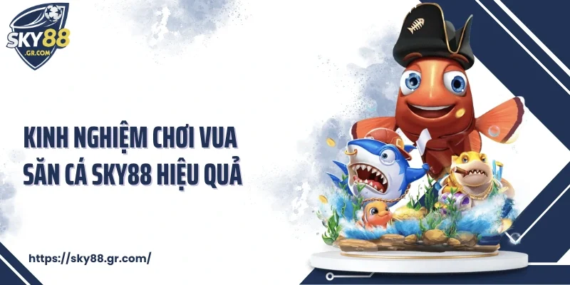 Kinh nghiệm chơi vua săn cá Sky88 hiệu quả